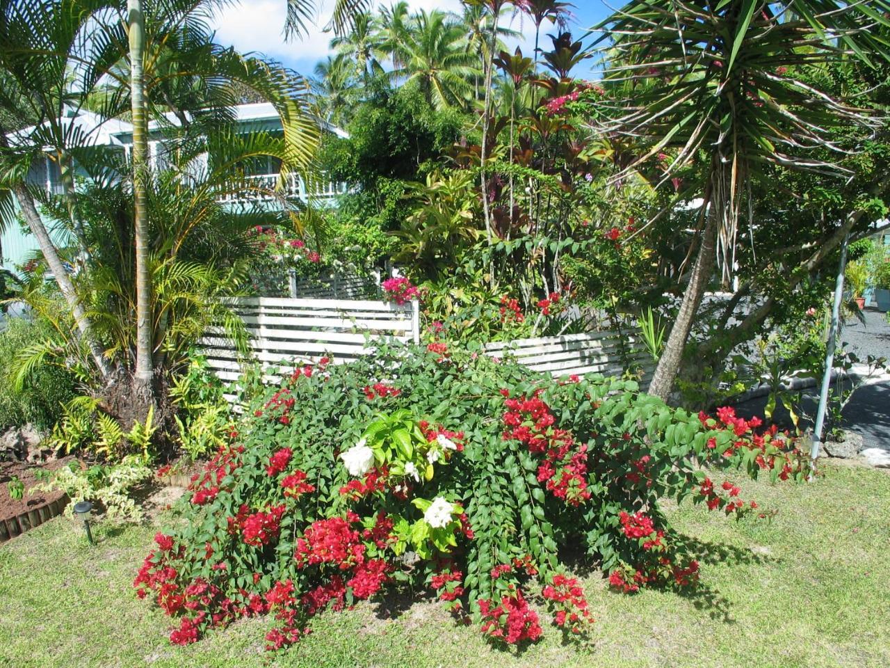 Sunhaven Beach Bungalows (Adults Only) Rarotonga Exteriér fotografie